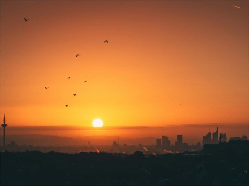 德国在2025年上半年新增7.1吉瓦太阳能发电装机容量